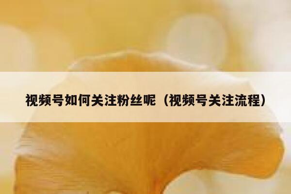 视频号如何关注粉丝呢（视频号关注流程） 第1张