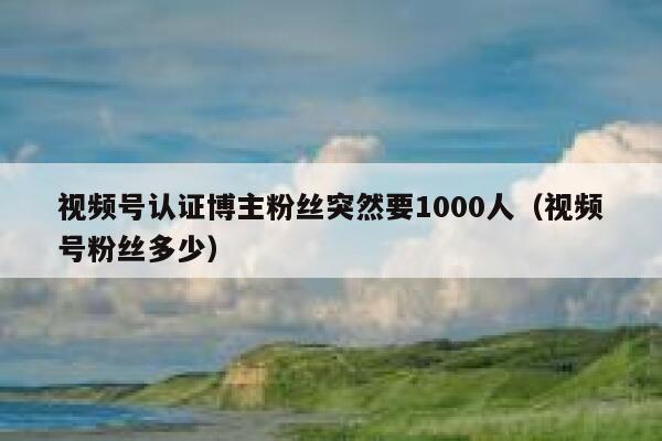 视频号认证博主粉丝突然要1000人（视频号粉丝多少） 第1张