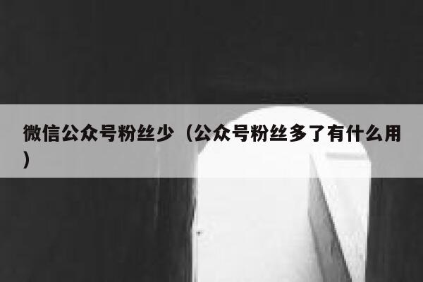 微信公众号粉丝少（公众号粉丝多了有什么用） 第1张