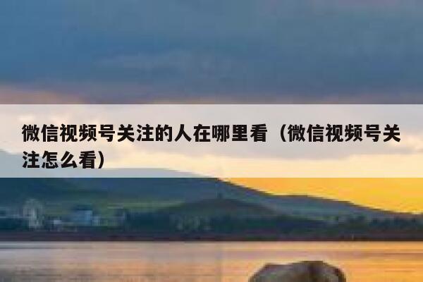 微信视频号关注的人在哪里看（微信视频号关注怎么看） 第1张