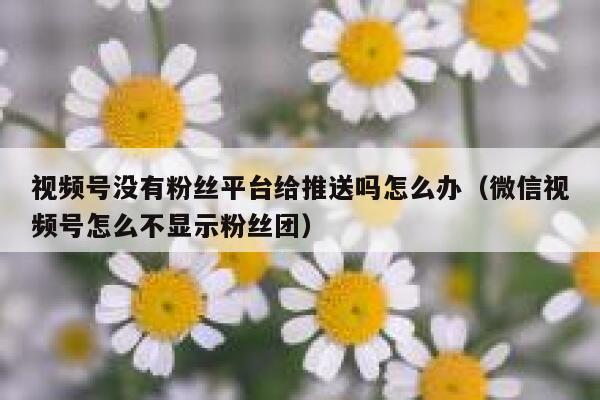 视频号没有粉丝平台给推送吗怎么办（微信视频号怎么不显示粉丝团） 第1张