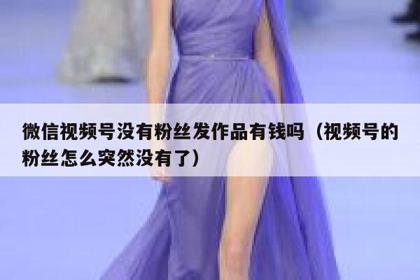 微信视频号没有粉丝发作品有钱吗（视频号的粉丝怎么突然没有了） 第1张