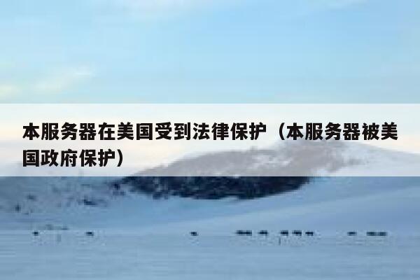 本服务器在美国受到法律保护（本服务器被美国政府保护） 第1张