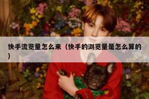 快手流览量怎么来（快手的浏览量是怎么算的） 第1张