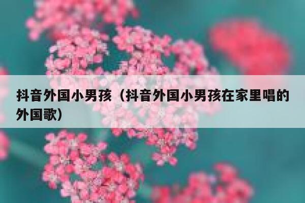 抖音外国小男孩（抖音外国小男孩在家里唱的外国歌） 第1张