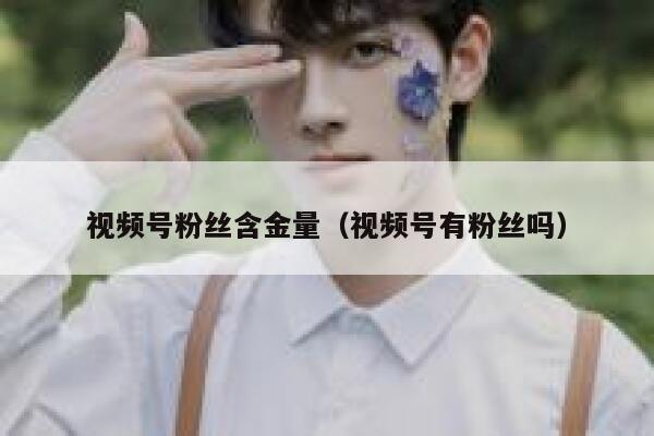 视频号粉丝含金量（视频号有粉丝吗） 第1张