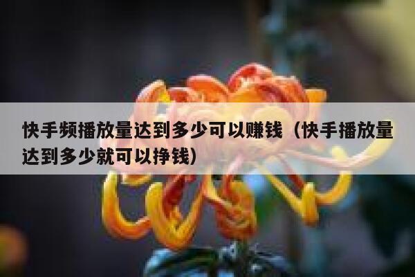 快手频播放量达到多少可以赚钱（快手播放量达到多少就可以挣钱） 第1张