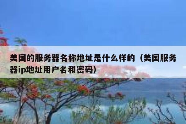 美国的服务器名称地址是什么样的（美国服务器ip地址用户名和密码） 第1张