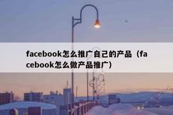 facebook怎么推广自己的产品（facebook怎么做产品推广） 第1张