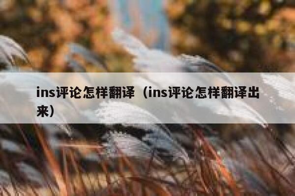 ins评论怎样翻译（ins评论怎样翻译出来） 第1张