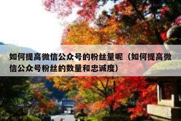 如何提高微信公众号的粉丝量呢（如何提高微信公众号粉丝的数量和忠诚度） 第1张