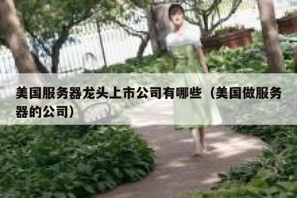美国服务器龙头上市公司有哪些（美国做服务器的公司） 第1张