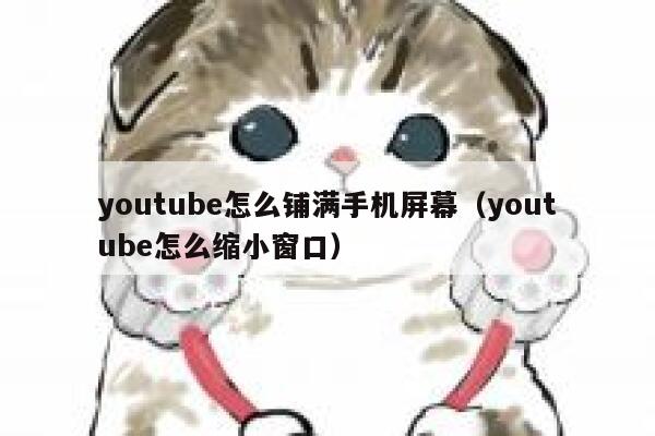 youtube怎么铺满手机屏幕（youtube怎么缩小窗口） 第1张