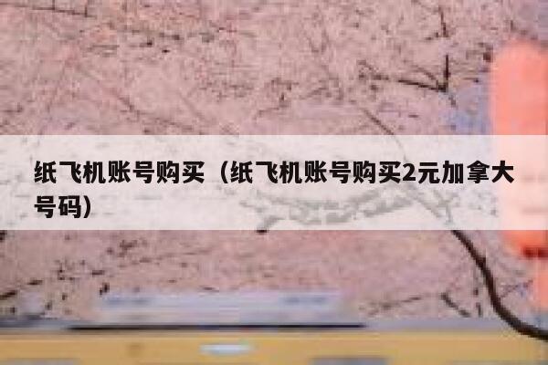 纸飞机账号购买（纸飞机账号购买2元加拿大号码） 第1张