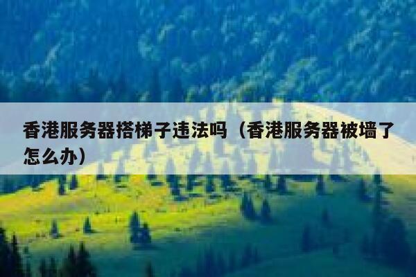 香港服务器搭梯子违法吗（香港服务器被墙了怎么办） 第1张
