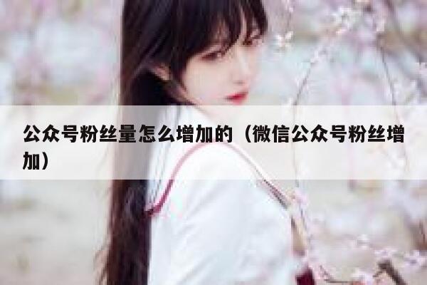 公众号粉丝量怎么增加的（微信公众号粉丝增加） 第1张