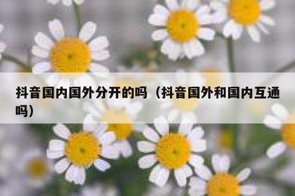 抖音国内国外分开的吗（抖音国外和国内互通吗） 第1张