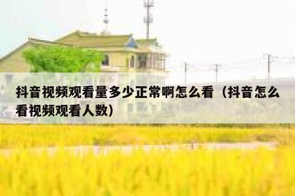 抖音视频观看量多少正常啊怎么看（抖音怎么看视频观看人数） 第1张