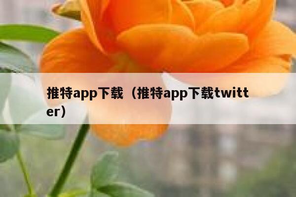 推特app下载（推特app下载twitter） 第1张