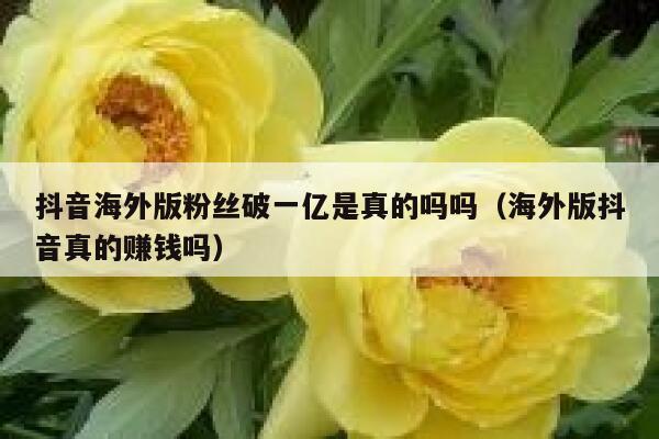 抖音海外版粉丝破一亿是真的吗吗（海外版抖音真的赚钱吗） 第1张