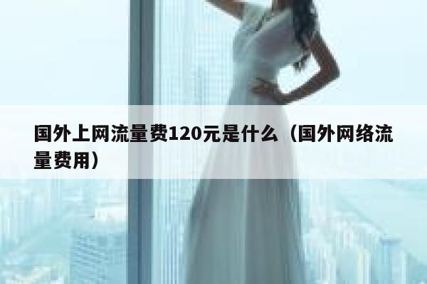 国外上网流量费120元是什么（国外网络流量费用） 第1张