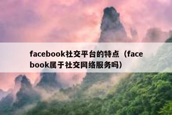 facebook社交平台的特点（facebook属于社交网络服务吗） 第1张