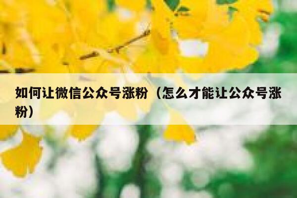 如何让微信公众号涨粉（怎么才能让公众号涨粉） 第1张