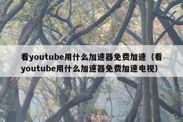 看youtube用什么加速器免费加速（看youtube用什么加速器免费加速电视） 第1张