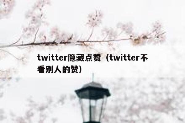 twitter隐藏点赞（twitter不看别人的赞） 第1张