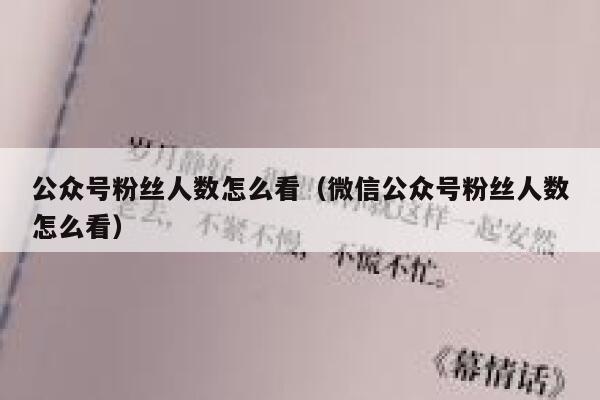 公众号粉丝人数怎么看（微信公众号粉丝人数怎么看） 第1张