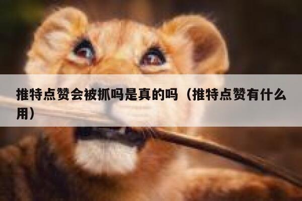 推特点赞会被抓吗是真的吗（推特点赞有什么用） 第1张