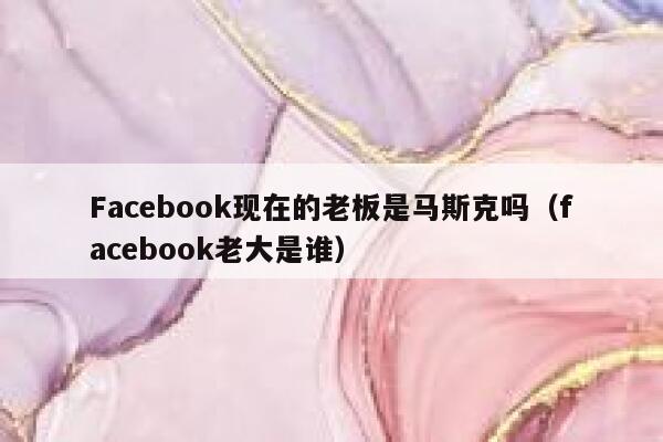 Facebook现在的老板是马斯克吗（facebook老大是谁） 第1张