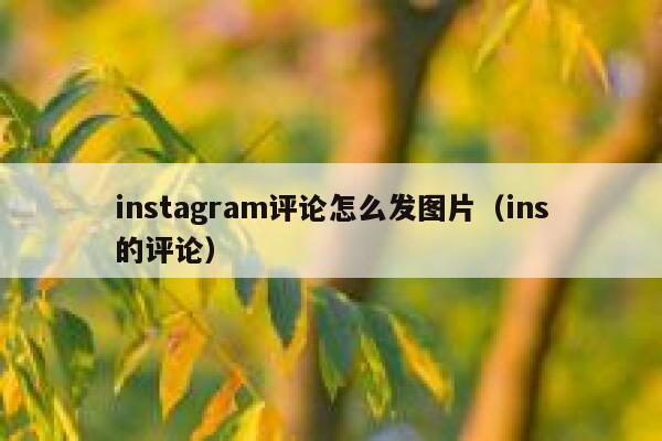 instagram评论怎么发图片（ins的评论） 第1张
