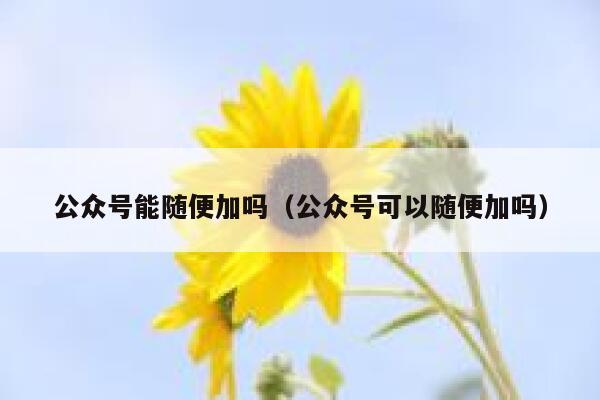 公众号能随便加吗（公众号可以随便加吗） 第1张