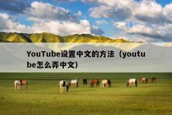 YouTube设置中文的方法（youtube怎么弄中文） 第1张
