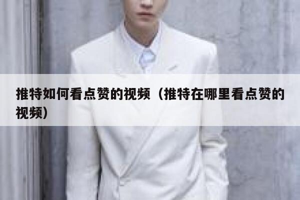 推特如何看点赞的视频（推特在哪里看点赞的视频） 第1张