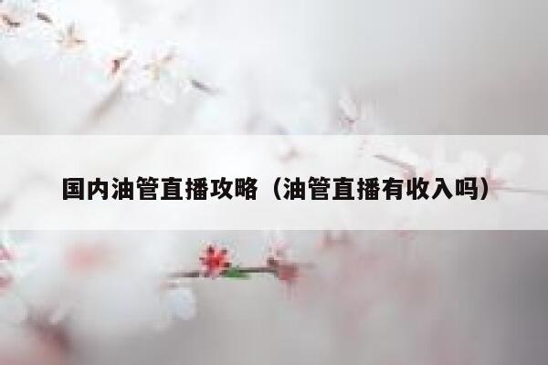 国内油管直播攻略（油管直播有收入吗） 第1张