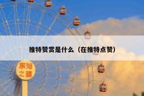 推特赞赏是什么（在推特点赞） 第1张