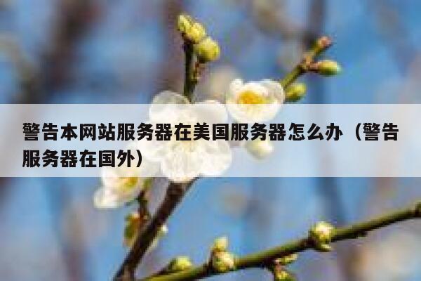 警告本网站服务器在美国服务器怎么办（警告服务器在国外） 第1张