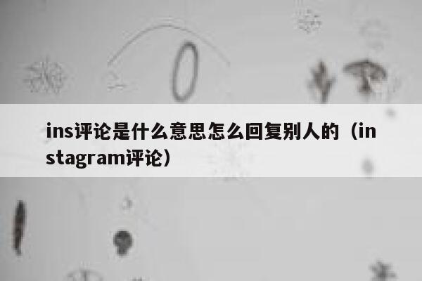 ins评论是什么意思怎么回复别人的（instagram评论） 第1张