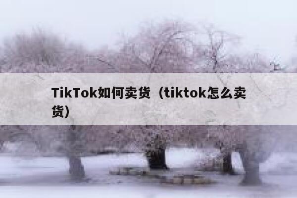 TikTok如何卖货（tiktok怎么卖货） 第1张