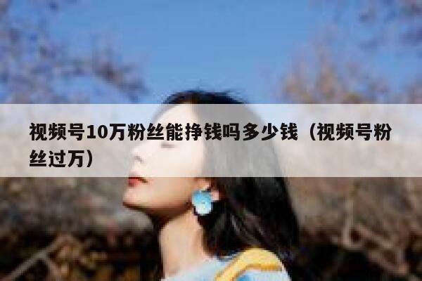 视频号10万粉丝能挣钱吗多少钱（视频号粉丝过万） 第1张