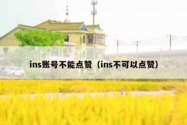 ins账号不能点赞（ins不可以点赞） 第1张