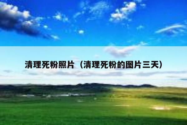 清理死粉照片（清理死粉的图片三天） 第1张