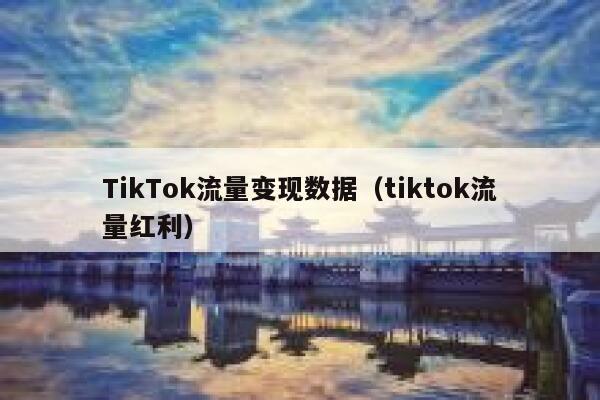 TikTok流量变现数据（tiktok流量红利） 第1张