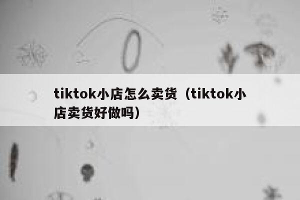 tiktok小店怎么卖货（tiktok小店卖货好做吗） 第1张