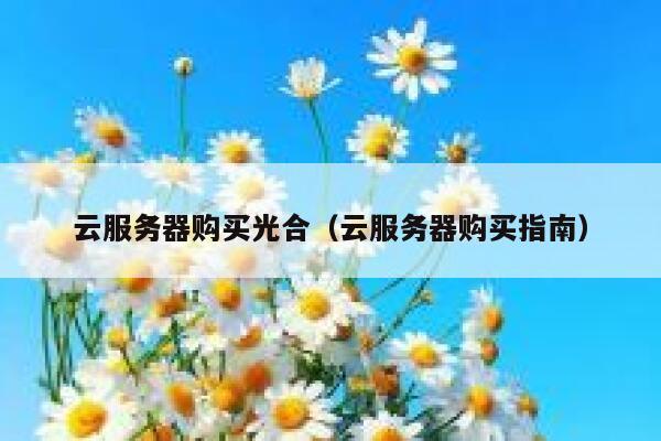 云服务器购买光合（云服务器购买指南） 第1张