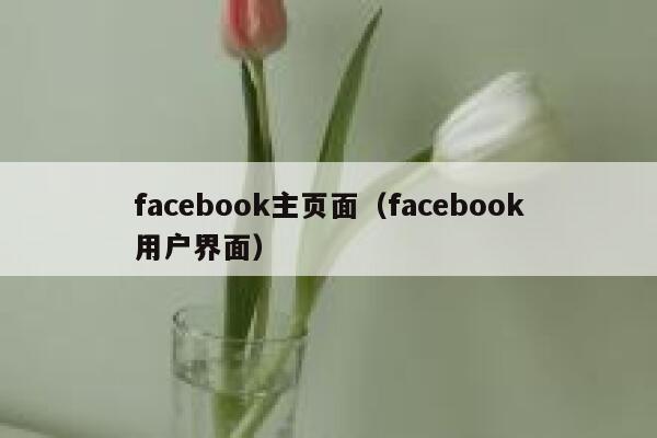 facebook主页面（facebook用户界面） 第1张