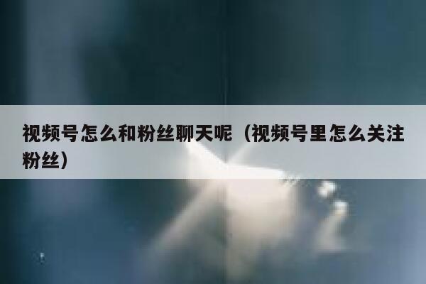 视频号怎么和粉丝聊天呢（视频号里怎么关注粉丝） 第1张