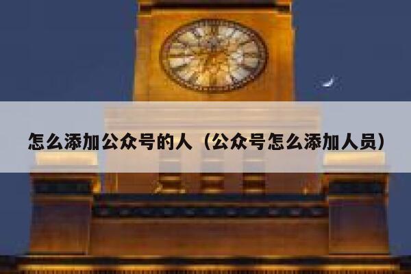 怎么添加公众号的人（公众号怎么添加人员） 第1张